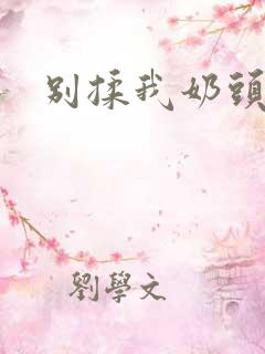 别揉我奶头子
