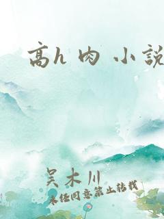 高h 肉 小说