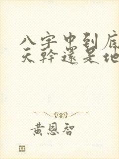 八字中到底是重天干还是地支