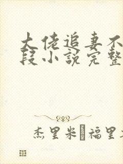大佬追妻不择手段小说完整版