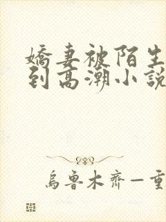 娇妻被陌生人操到高潮小说免费下载