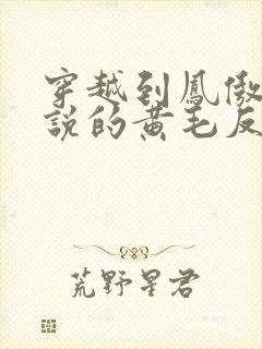 穿越到凤傲天小说的黄毛反派也要幸福