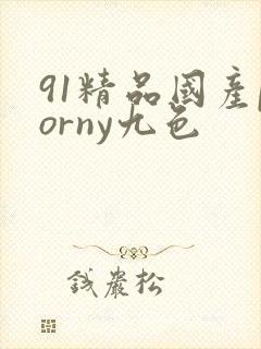 91精品国产porny九色