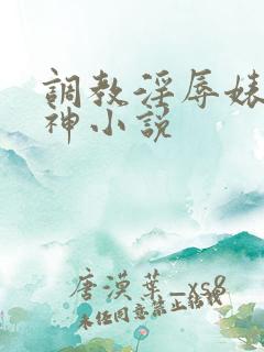 调教淫辱婊子女神小说