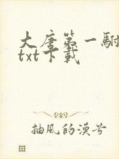 大唐第一驸马爷txt下载