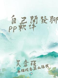 自己开发聊天app软件
