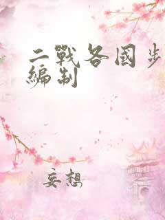 二战各国步兵师编制