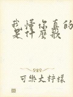 我懂你真的累了是什么歌