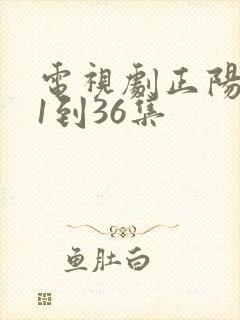 电视剧正阳门下1到36集