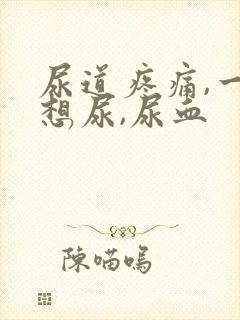 尿道疼痛,一直想尿,尿血
