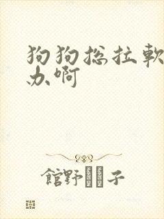狗狗总拉软便咋办啊