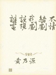 谁说我结不了婚电视剧剧情