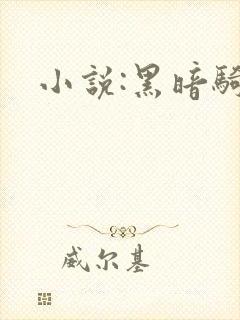 小说:黑暗骑士