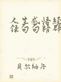 人生感悟经典语录句句精辟入人心 人生感悟经典语录句句精辟入人心