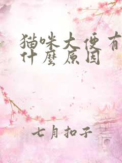猫咪大便有血是什么原因