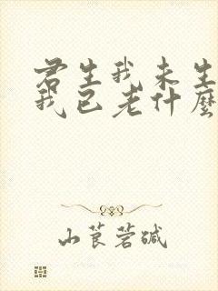君生我未生君生我已老什么意思