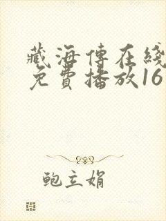 藏海传在线观看免费播放16集