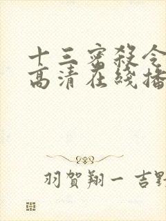 十三密杀令国语高清在线播放
