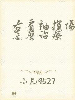 右肩袖损伤最好怎么治疗