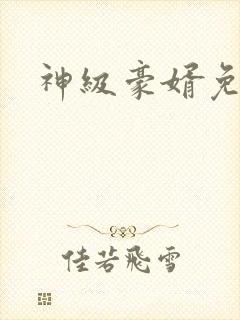 神级豪婿免费