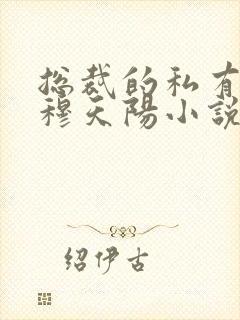 总裁的私有宝贝穆天阳小说 总裁的私有宝贝穆天阳小说