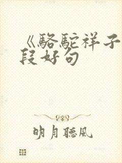 《骆驼祥子》好段好句