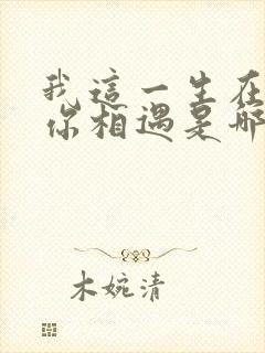 我这一生在难和你相遇是哪首歌的歌词