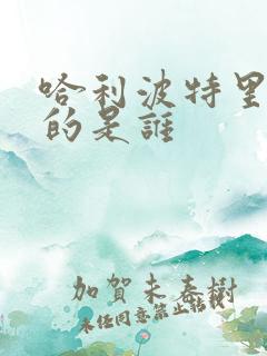 哈利波特里最强的是谁