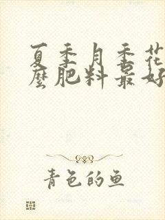 夏季月季花施什么肥料最好