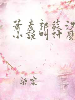 萧彦祁苏汐月的小说叫什么名字