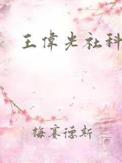 王伟光社科院