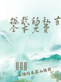 总裁的私有宝贝全本免费