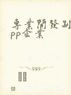 专业开发制作app企业