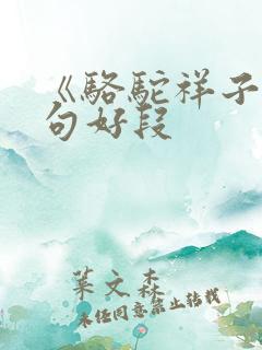 《骆驼祥子》好句好段