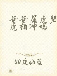 爸爸属虎儿子属虎相冲吗