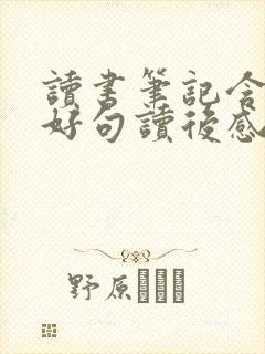 读书笔记含好词好句读后感
