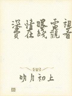 深情眼电视剧免费在线观看全集
