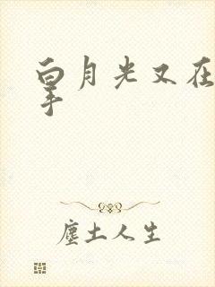 白月光又在闹分手