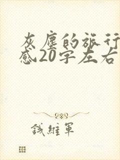 灰尘的旅行读后感20字左右