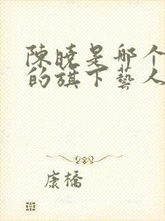 陈晓是哪个公司的旗下艺人