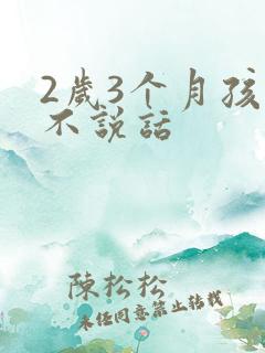2岁3个月孩子不说话