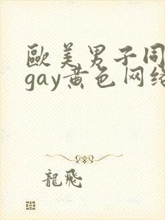 欧美男子同性恋gay黄色网络
