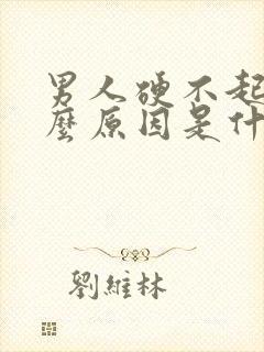 男人硬不起来什么原因是什么导致