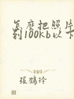 怎么把照片压缩到100kb以下