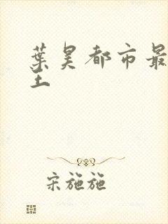 叶昊都市最强兵王