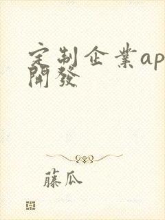 定制企业app开发