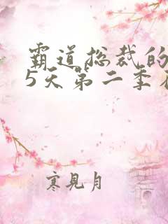 霸道总裁的365天第二季在线