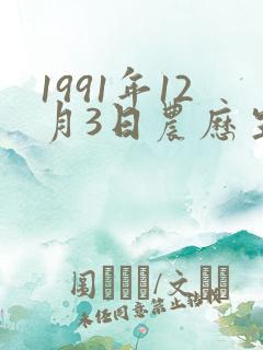 1991年12月3日农历生辰八字