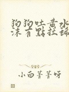 狗狗吐黄水带泡沫有点拉稀怎么办