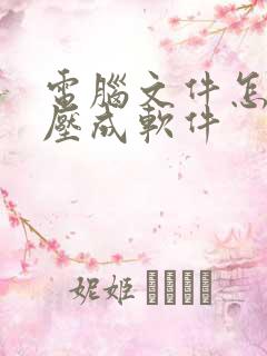 电脑文件怎么解压成软件